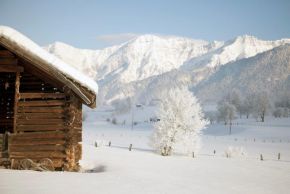 Winterlandschaft Winter Landscape5 (c) Julian Mullan